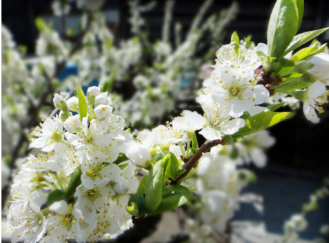 圖片關(guān)鍵詞 圖片關(guān)鍵詞