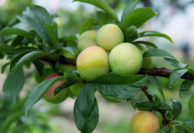 圖片關(guān)鍵詞 圖片關(guān)鍵詞