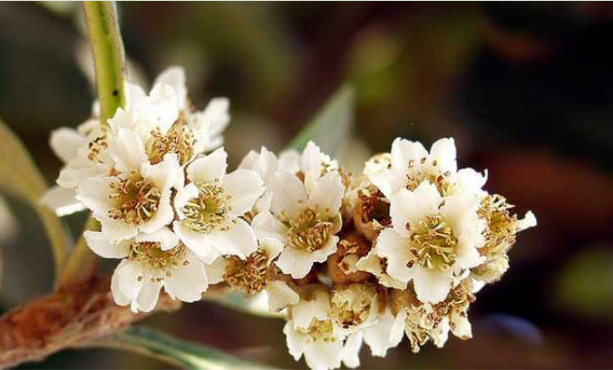 圖片關(guān)鍵詞 圖片關(guān)鍵詞